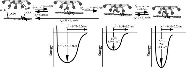 FIG. 7.