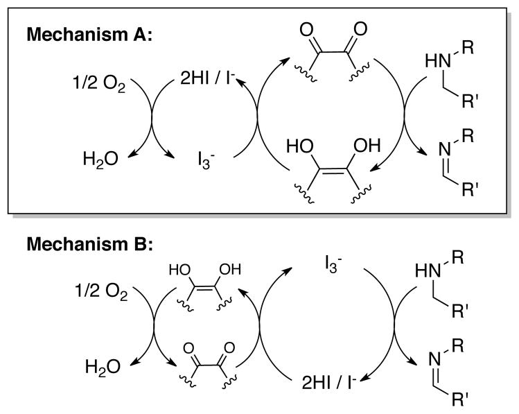 Scheme 2