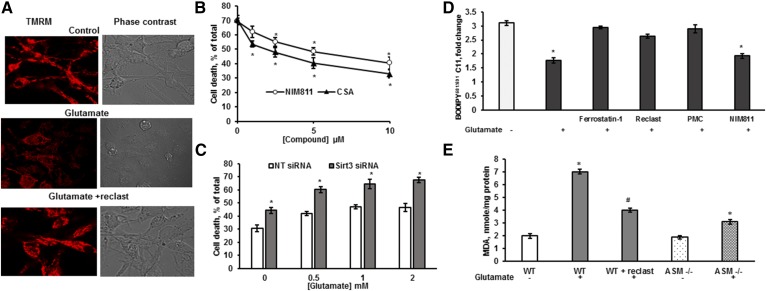 Fig. 9.