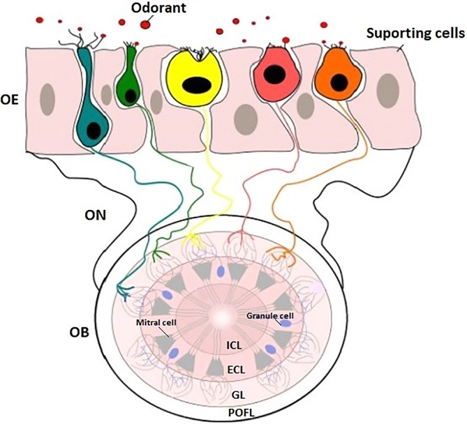 FIGURE 3