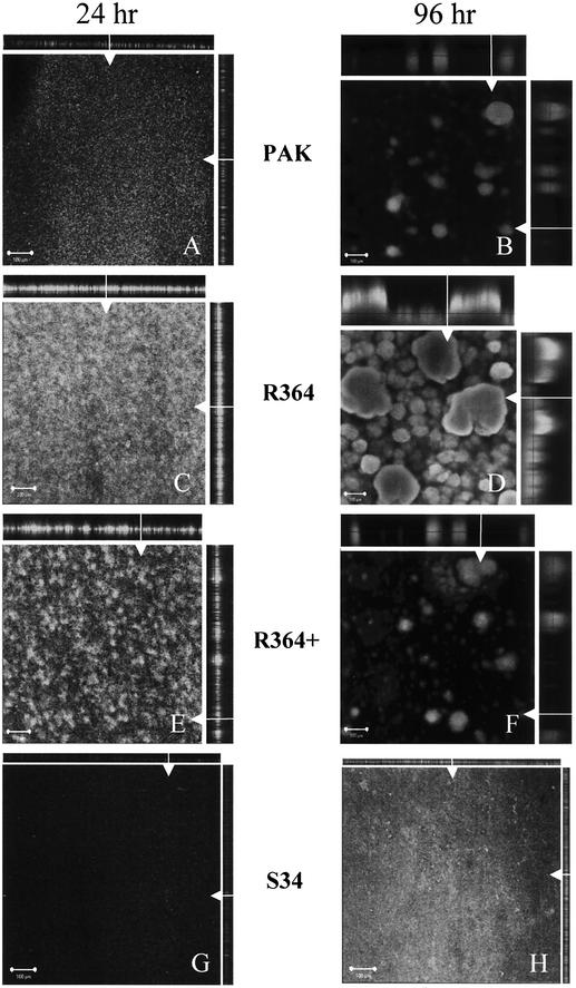 FIG.4.