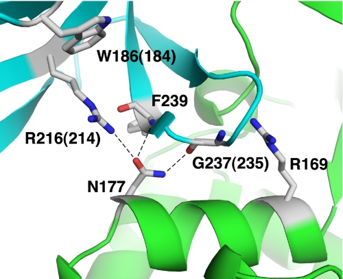 FIGURE 6.