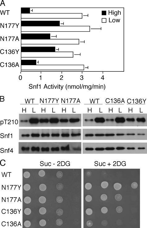 FIGURE 5.