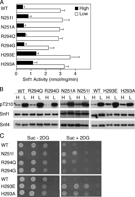 FIGURE 4.