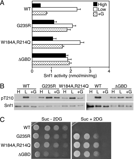 FIGURE 7.