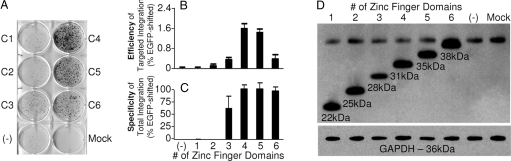 Fig. 5.