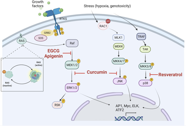 FIGURE 3