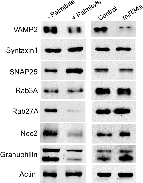 FIG. 7.