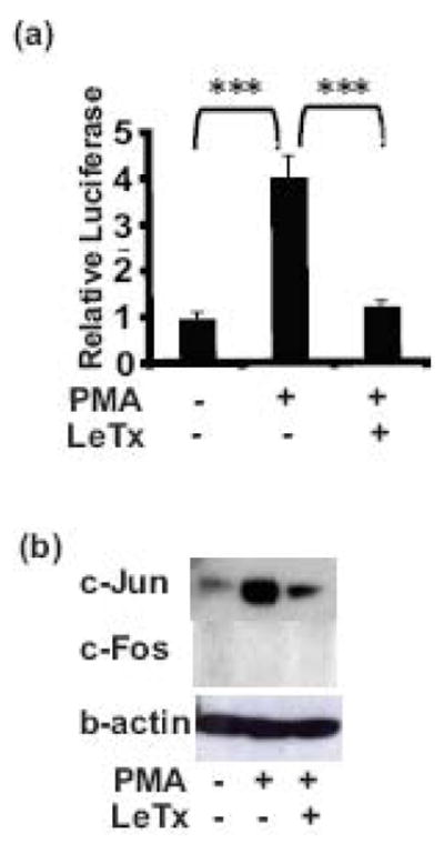 Fig 5