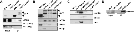 Figure 2.