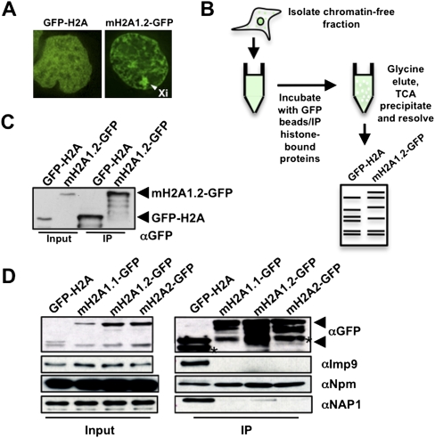 Figure 1.