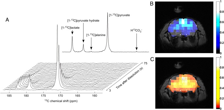 Fig. 4.