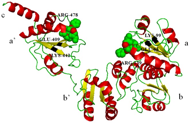 Figure 5