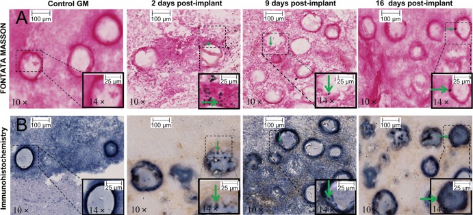 Figure 6: