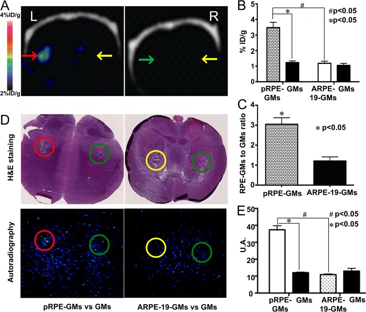 Figure 4: