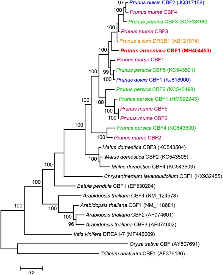 FIGURE 2