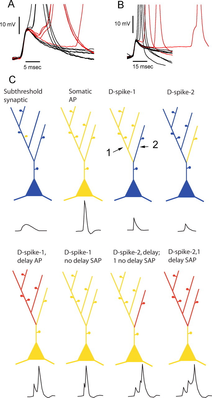 
Figure 10.
