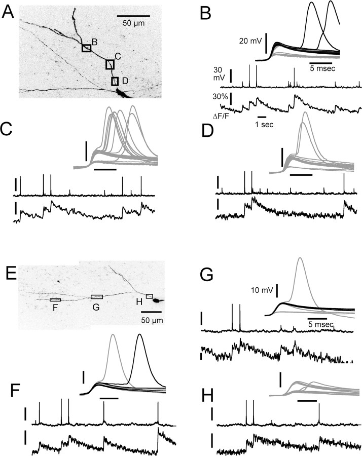 
Figure 9.
