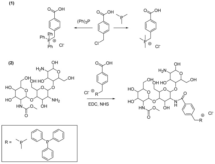 Scheme 1