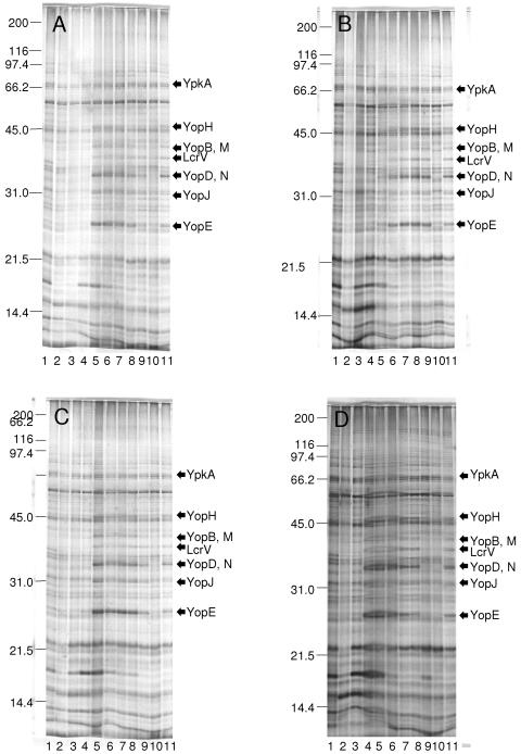 FIG. 7.