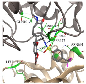 graphic file with name molecules-25-01789-i041.jpg