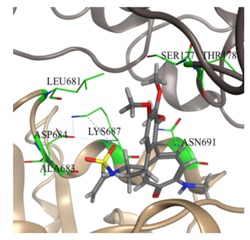 graphic file with name molecules-25-01789-i037.jpg