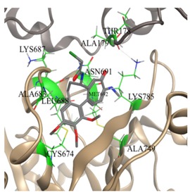 graphic file with name molecules-25-01789-i017.jpg