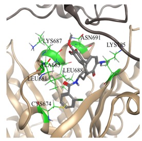 graphic file with name molecules-25-01789-i025.jpg