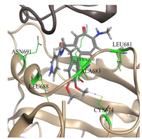 graphic file with name molecules-25-01789-i031.jpg