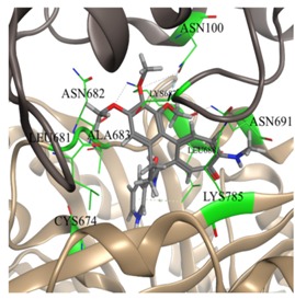 graphic file with name molecules-25-01789-i029.jpg