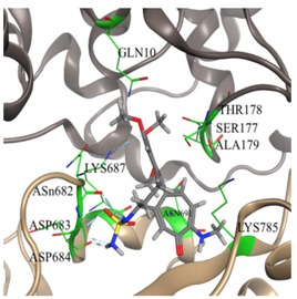 graphic file with name molecules-25-01789-i033.jpg