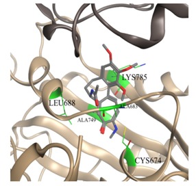 graphic file with name molecules-25-01789-i003.jpg