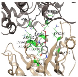 graphic file with name molecules-25-01789-i013.jpg