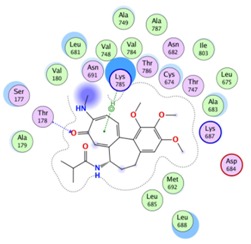 graphic file with name molecules-25-01789-i016.jpg