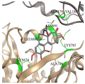 graphic file with name molecules-25-01789-i001.jpg