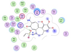 graphic file with name molecules-25-01789-i038.jpg