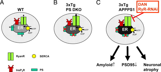 Figure 11.