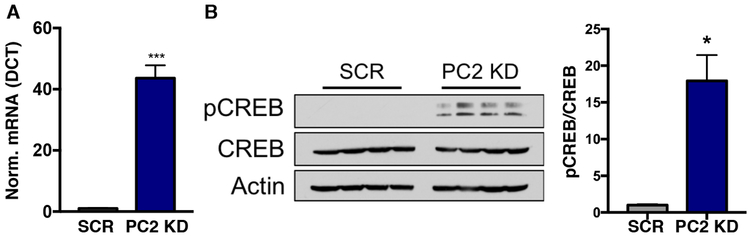 Figure 7: