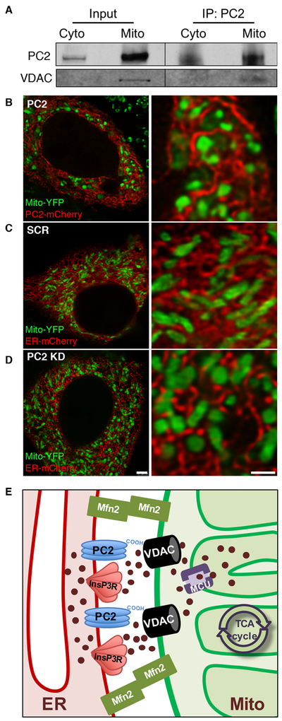 Figure 2: