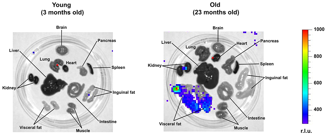 Extended Data Fig. 3.