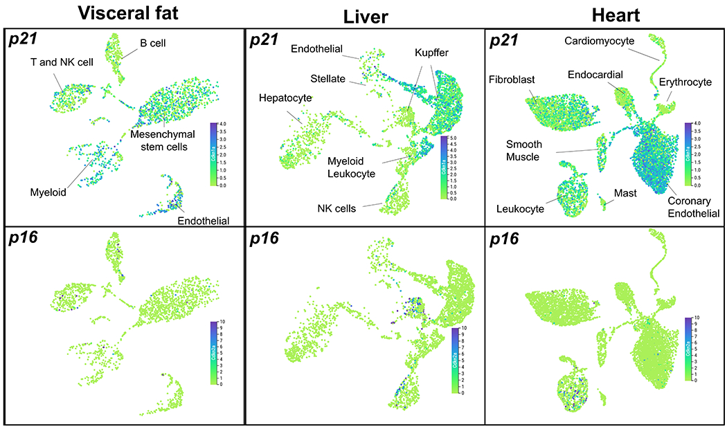 Extended Data Fig. 1