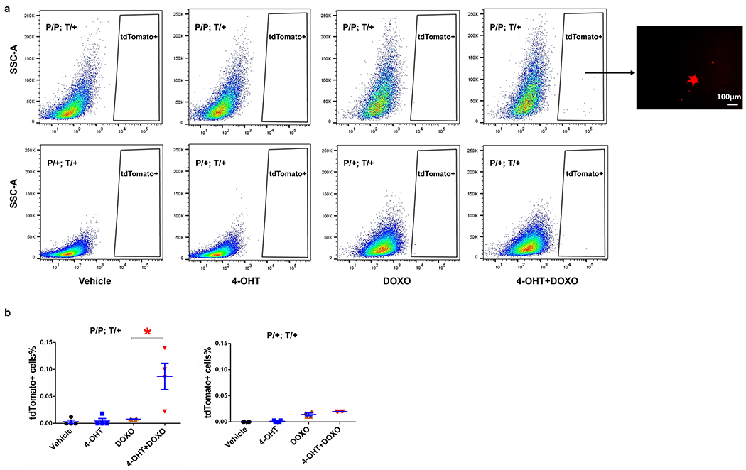 Extended Data Fig. 4