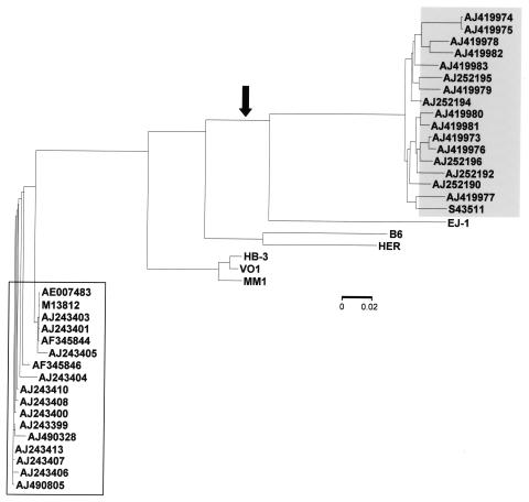 FIG. 5.