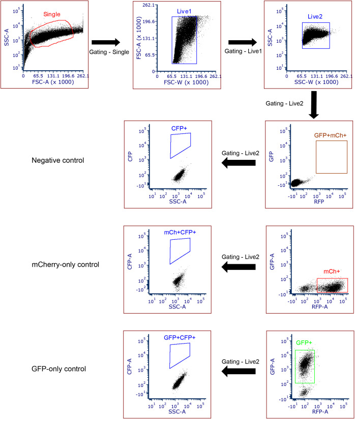 Figure 4.