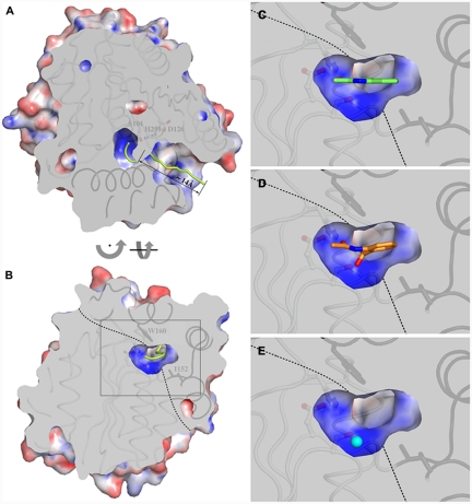 Fig. 2.