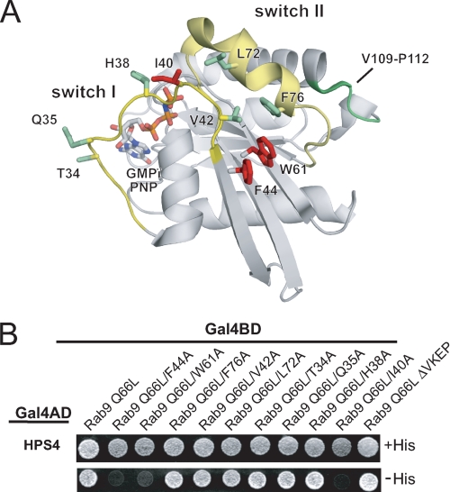 FIGURE 7.