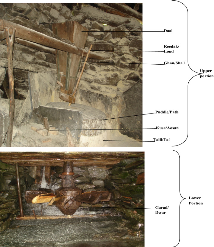 Fig. 3