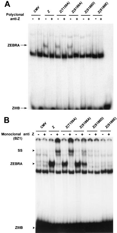 FIG. 7.