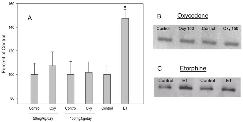 Fig 8