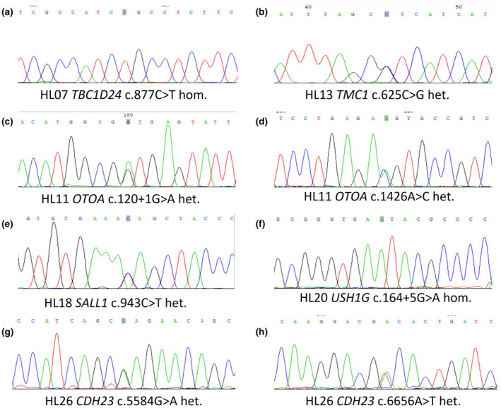 FIGURE 2